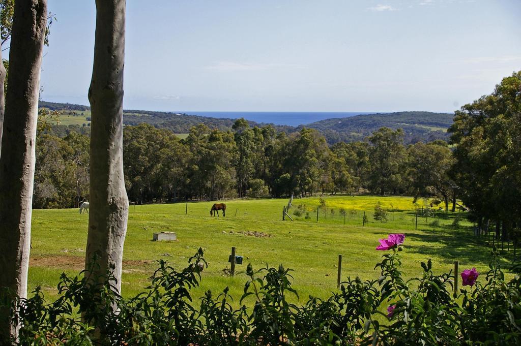 Wildwood Valley